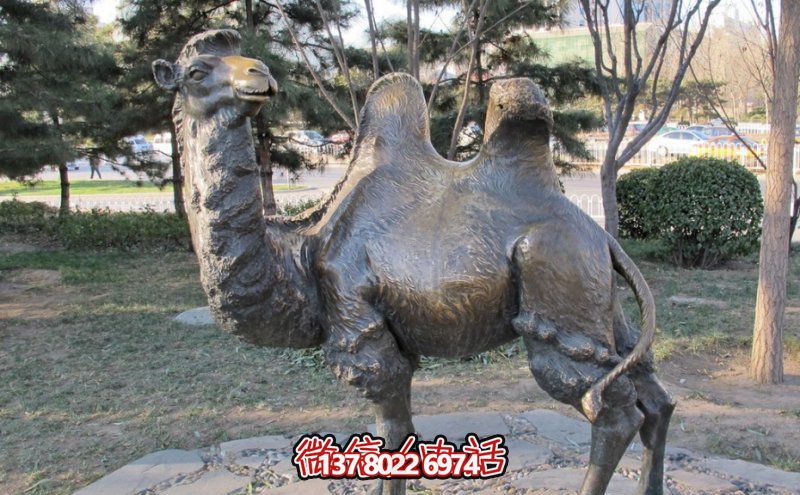 創(chuàng)意大型玻璃鋼駱駝雕塑，在草地上擺放，一眼回頭